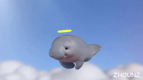 chaninsitzhounzsuttitamrongswat giphyupload animal fly sky GIF