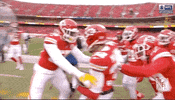 National Football League GIF by NFL