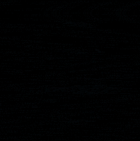 tamubuild build tamu tamu build GIF