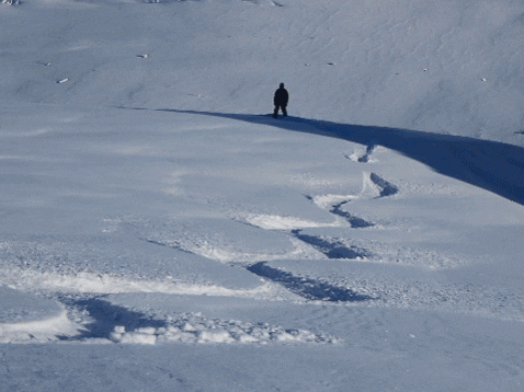 stevechamgif giphygifmaker ski snowboard powder GIF