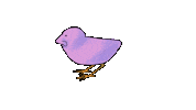 bird spin Sticker by mjkahn
