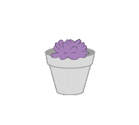 Plant Cactus Sticker