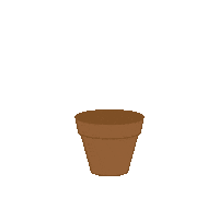 elixabetaduriz plant cactus cacti elixabetaduriz Sticker