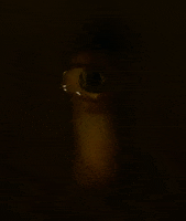 GIF by NEON