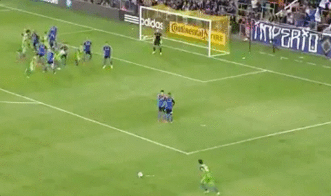 GIF by Seattle Sounders