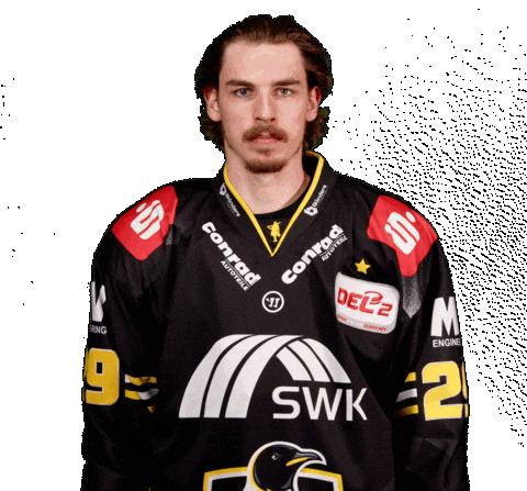 Del2 Seidenstadt Sticker by Krefeld Pinguine