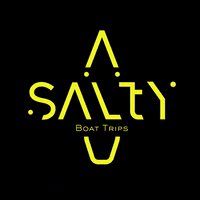 SaltyBoatTrips boat rental boat tour boat trips salty boat trips GIF
