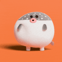 Chicken Character GIF