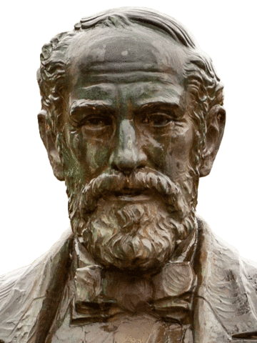 Weber State Wildcats Sticker by Weber State University