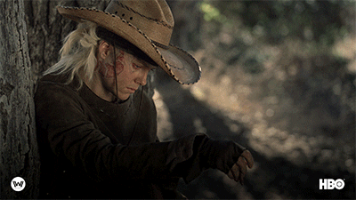 GIF by Westworld HBO