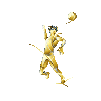 volleyball beachvolley Sticker by Beach Majors GmbH