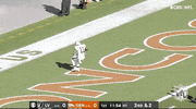 Las Vegas Raiders Football GIF by NFL