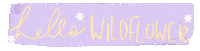 Text Hello Sticker