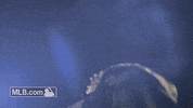Red Sox Hair Flip GIF by MLB