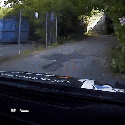 Skills Driving GIF by FIA European Rally Championship