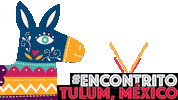 mexico alpaca Sticker by Salon Line