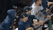 Excited Major League Baseball GIF by MLB