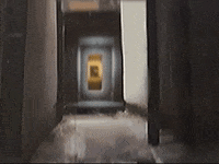 Footage Oaf GIF by jorgemariozuleta