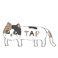 Cat 指 Sticker