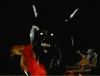 Michael Jackson Halloween GIF by Vevo