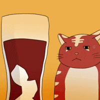 Cat Summer GIF by Kitaro World