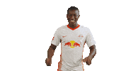 Oh Yeah Yes Sticker by RB Leipzig