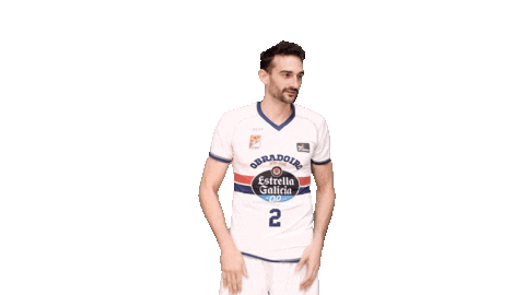 Liga Endesa Basketball Sticker by ACB