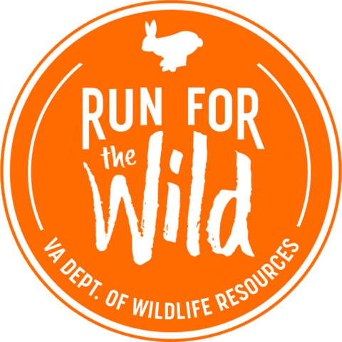 VirginiaWildlife giphyupload dwr run wild virginia wildlife Sticker