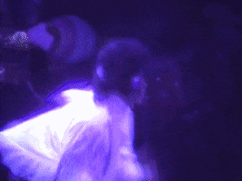 the revolution prince GIF