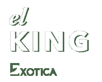 Loveyoudad El King Sticker by Exotica