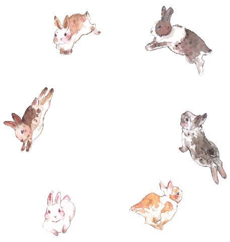 Animated Sticker