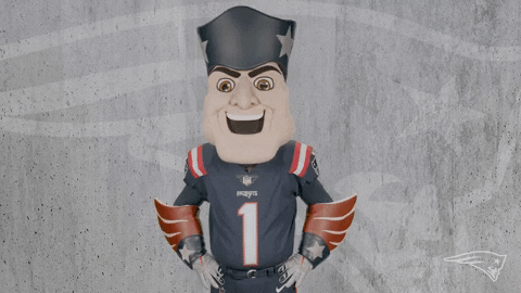 Happy Great Job GIF by New England Patriots