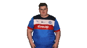 Kiel Holstein Sticker by Bundesliga