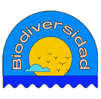 reportediariotulum love news mexico noticias Sticker