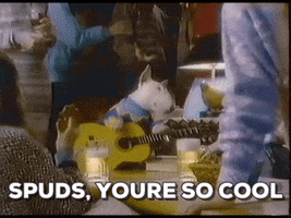 spuds mackenzie GIF