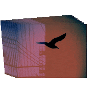 Flying Video Art Sticker