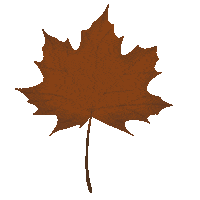 Herbst Sticker by KolibriDesign by Tamy