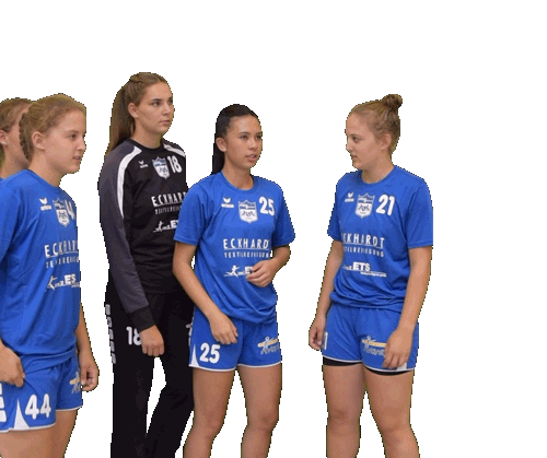 ATSVHabenhausen giphyupload look handball da Sticker