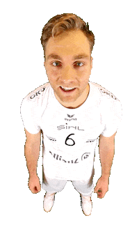 Volleyball Sticker by SWD Powervolleys Düren