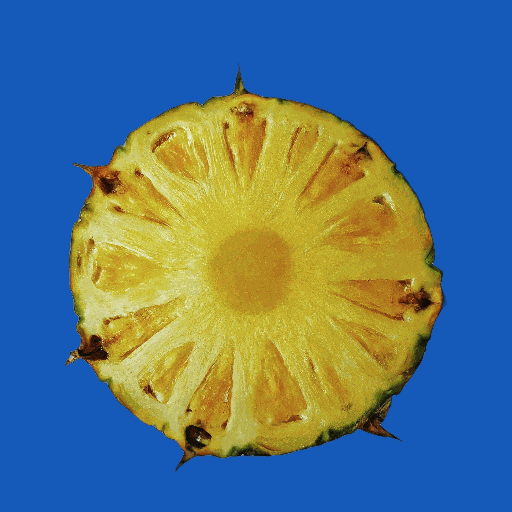 Summer Comida GIF