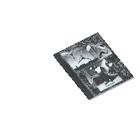 Jordan Brand Sticker by jumpman23