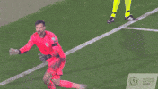 Euro 2020 Football GIF by Scotland National Team