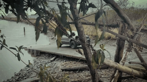 Pacific Northwest Washington GIF by Northwest Motorsport
