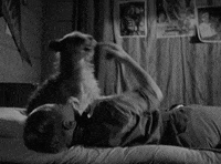 classic film dog GIF by Warner Archive
