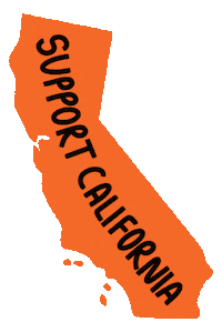 BayRising california black lives matter san francisco oakland Sticker