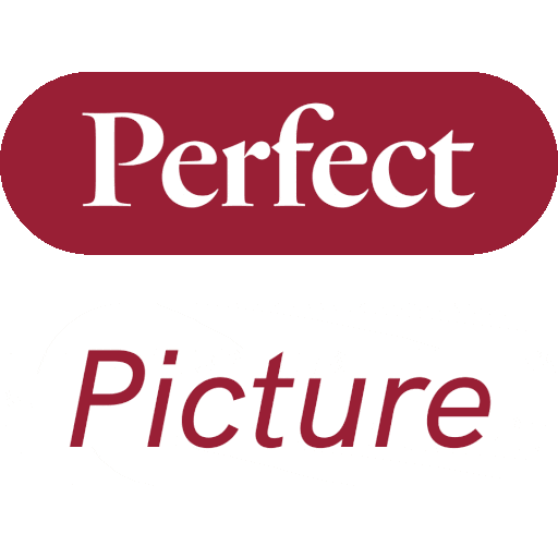 Color Picture Sticker by studio flabbergasted