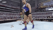 santino marella wrestling GIF by WWE