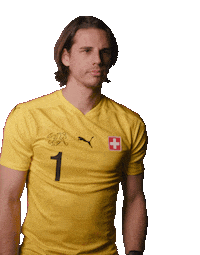 Yann Sommer Ball Sticker by Swiss Football Association
