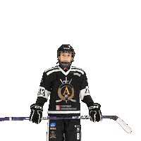alfahockey хоккей хоккеист альфа хоккейспб Sticker