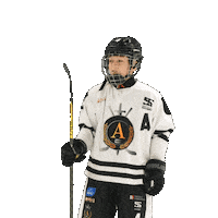 alfahockey хоккей хоккеист альфа хоккейспб Sticker